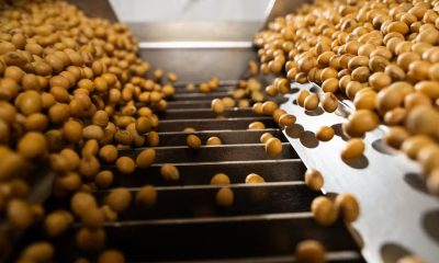 Esmagamento de soja em Mato Grosso bate recorde e cresce 4,74% até setembro